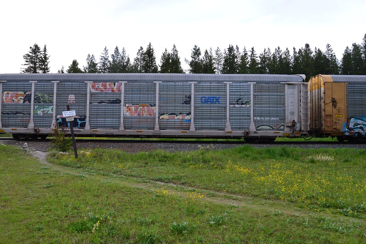 DSC_3107.JPG