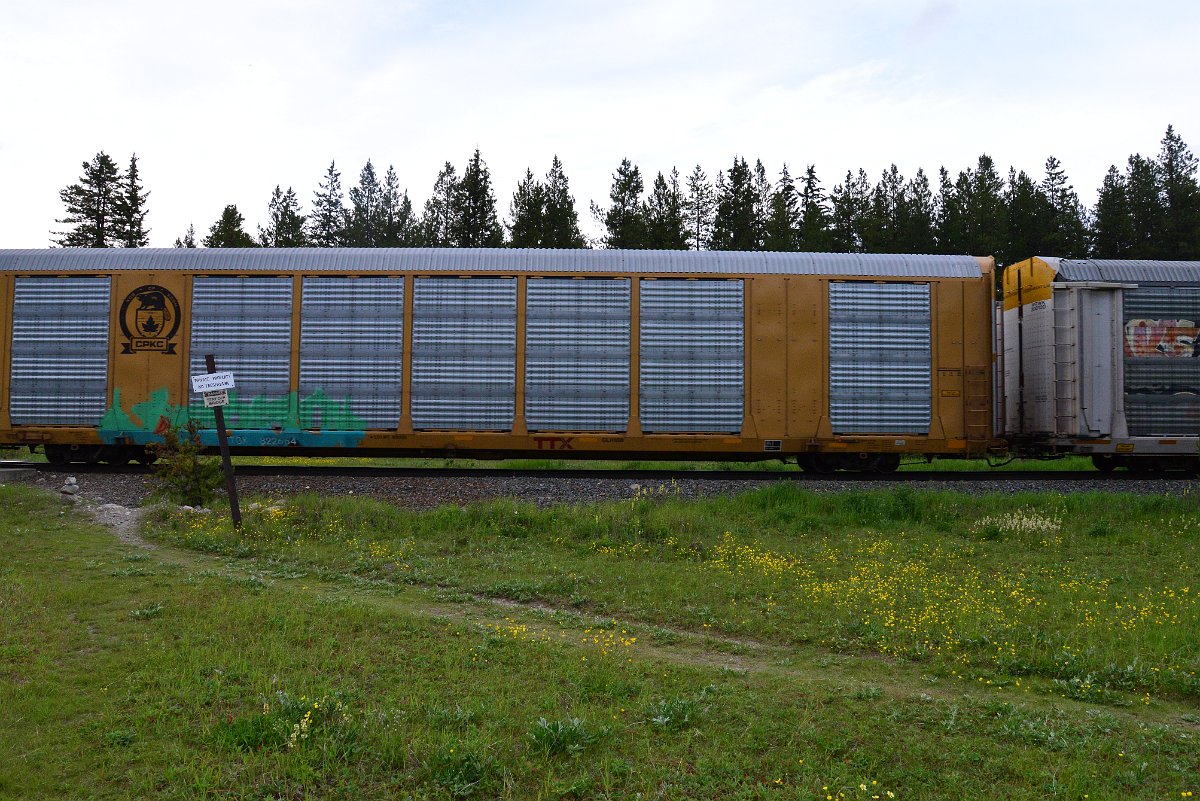 DSC_3108.JPG