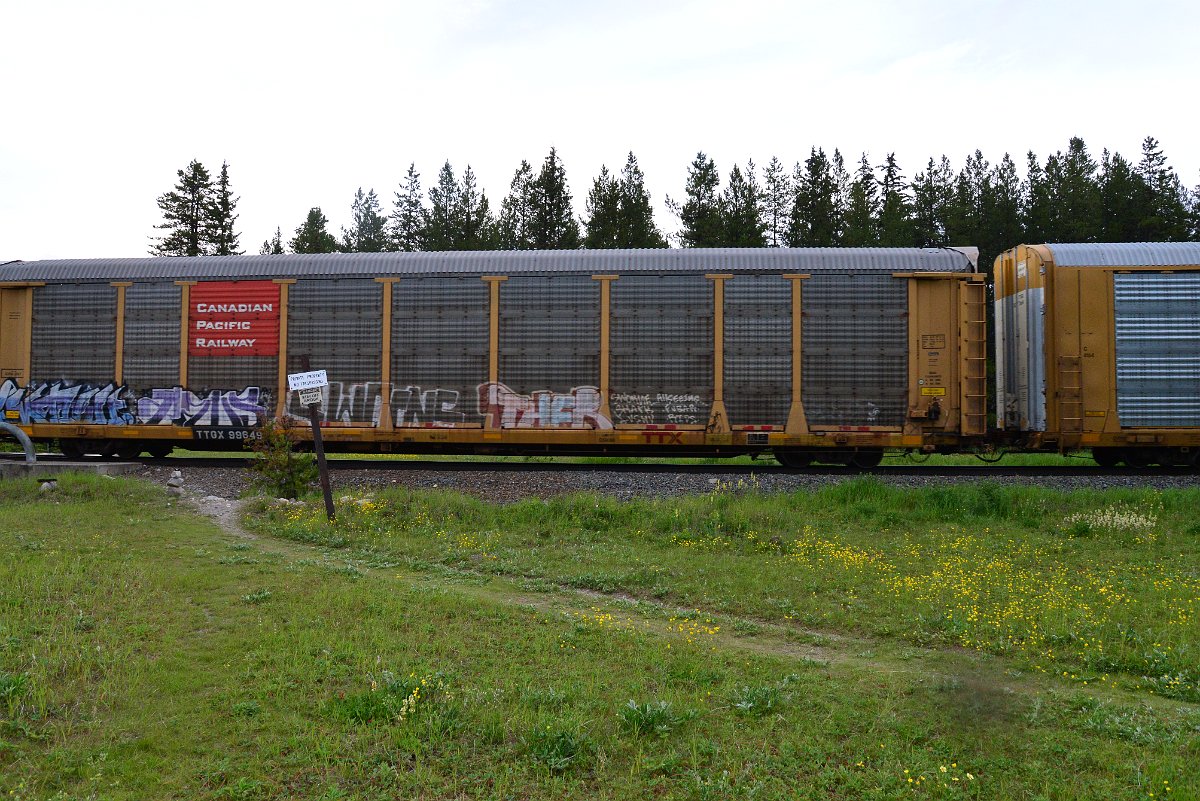DSC_3109.JPG