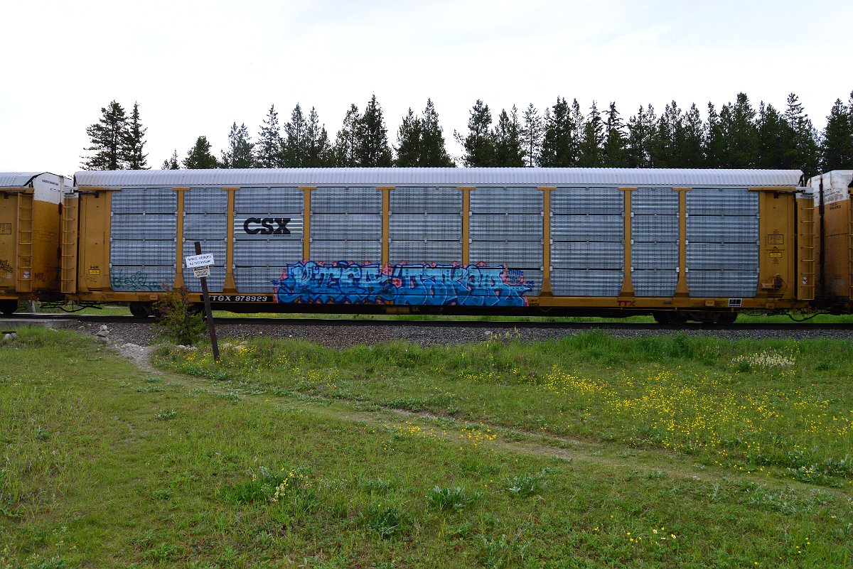 DSC_3110.JPG