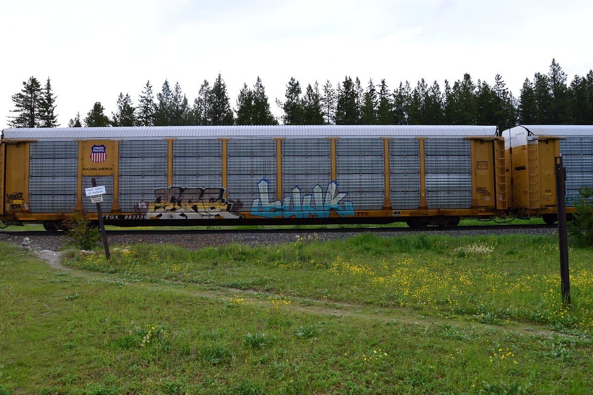 DSC_3111.JPG