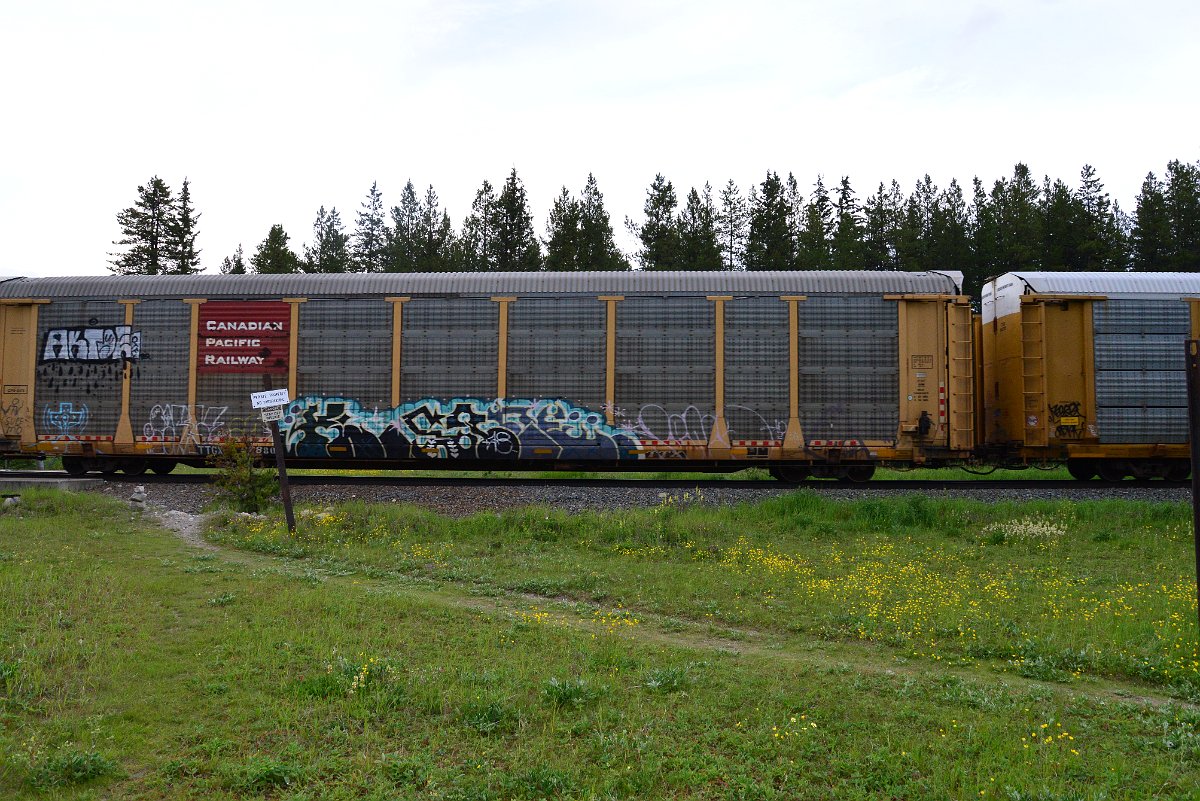DSC_3112.JPG