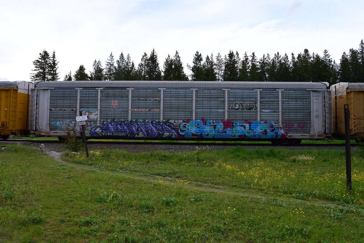 DSC_3113.JPG