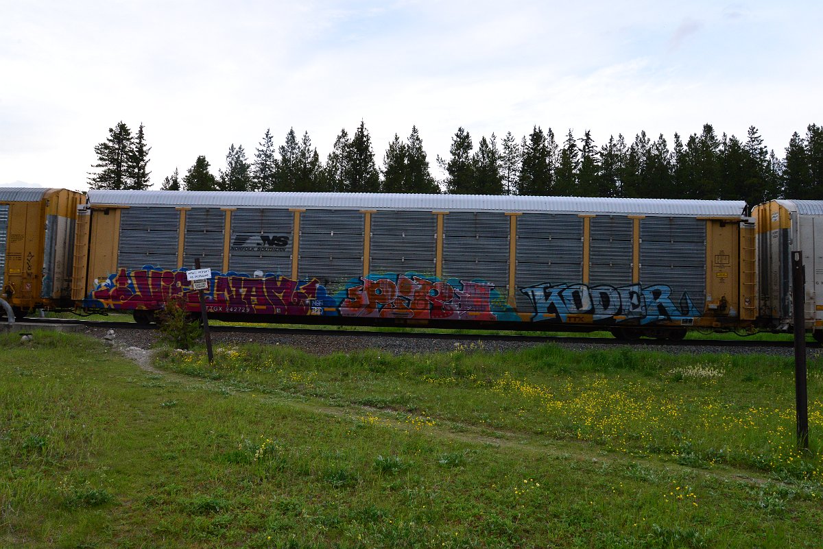 DSC_3116.JPG