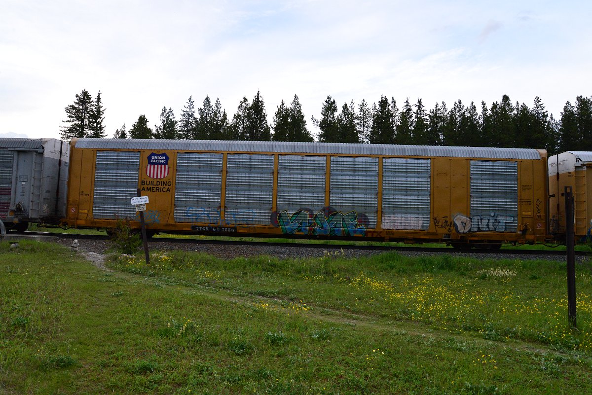 DSC_3117.JPG