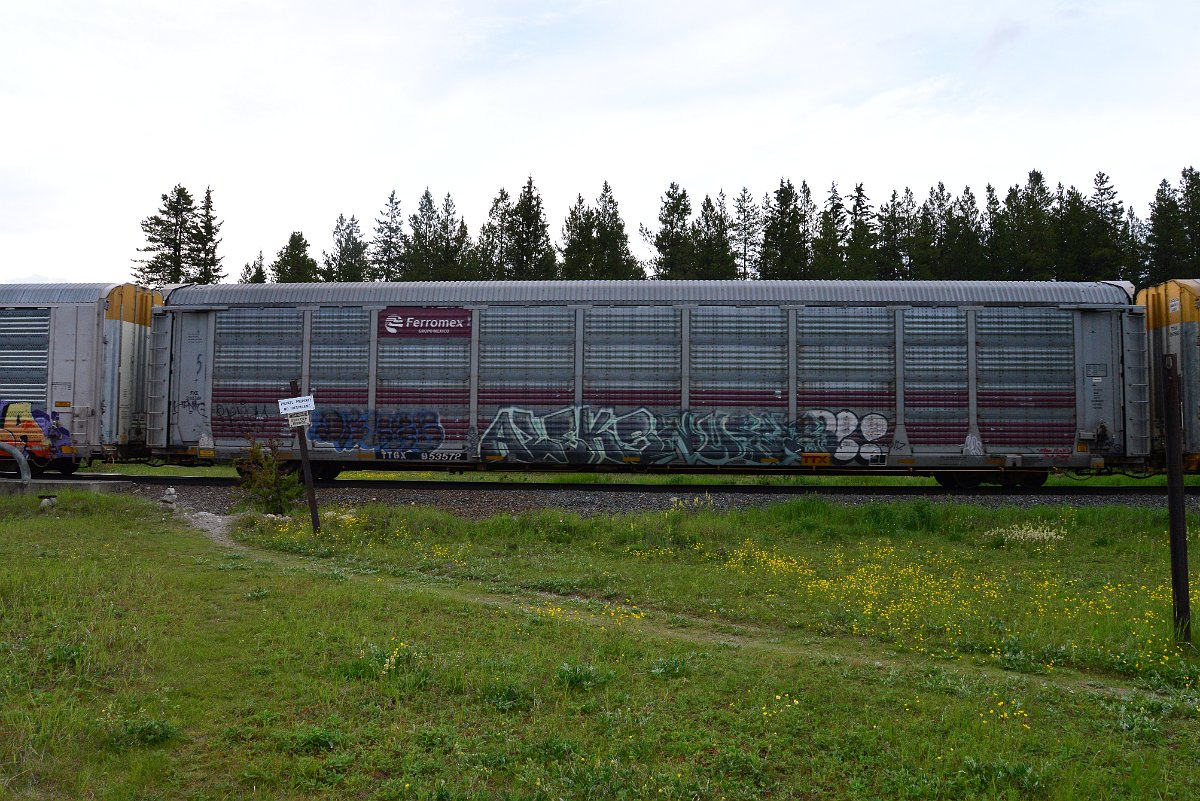 DSC_3118.JPG