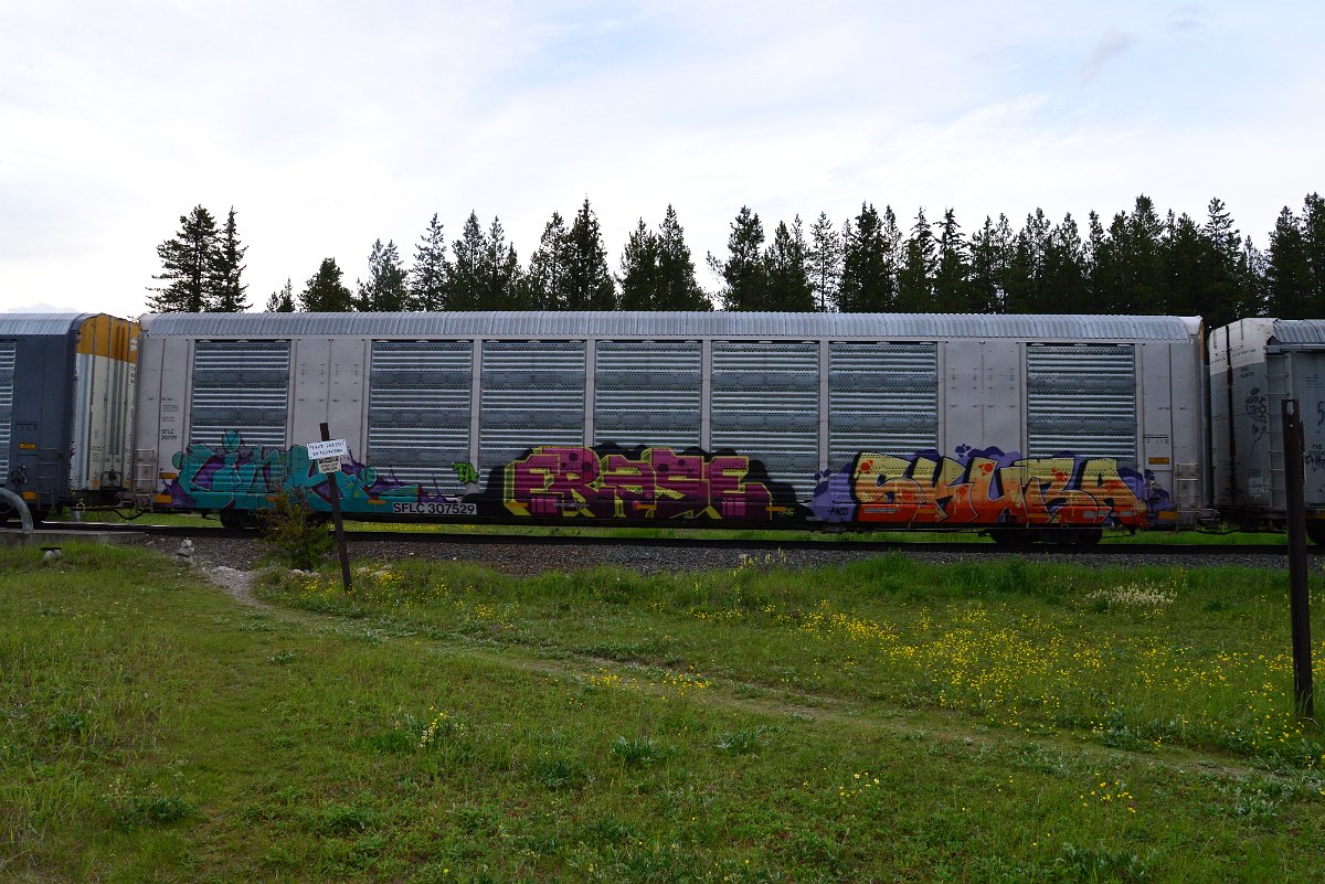DSC_3119.JPG