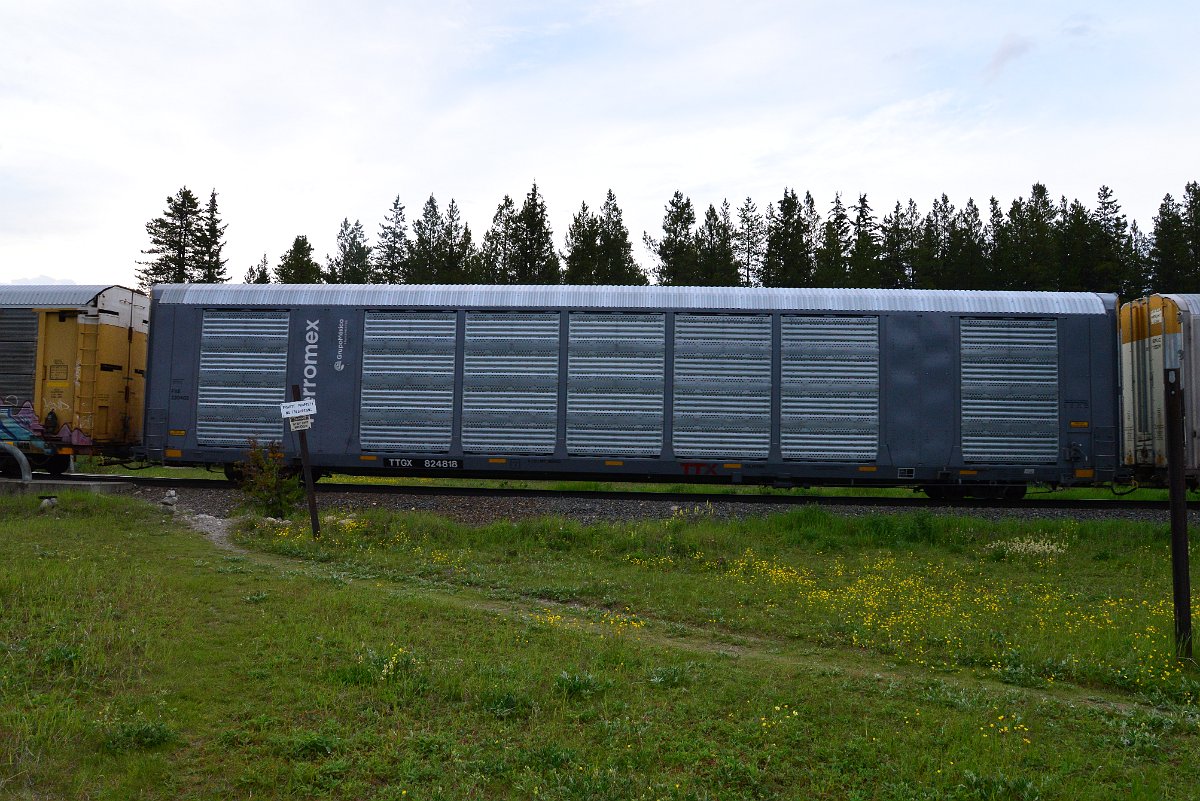 DSC_3120.JPG
