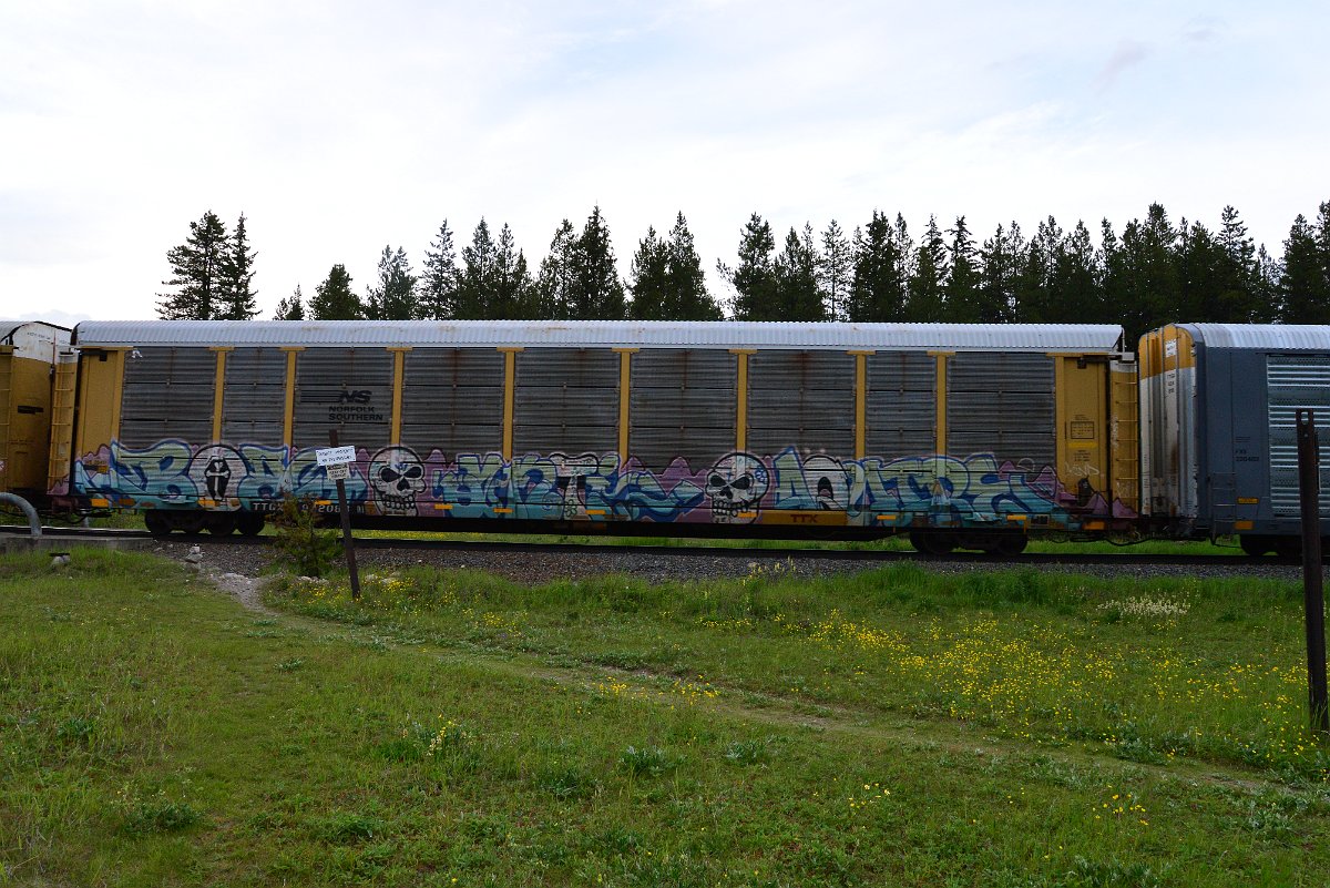 DSC_3121.JPG