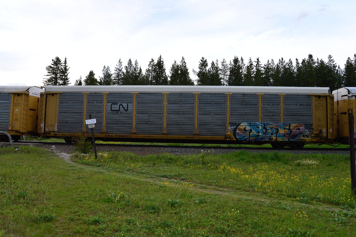 DSC_3122.JPG