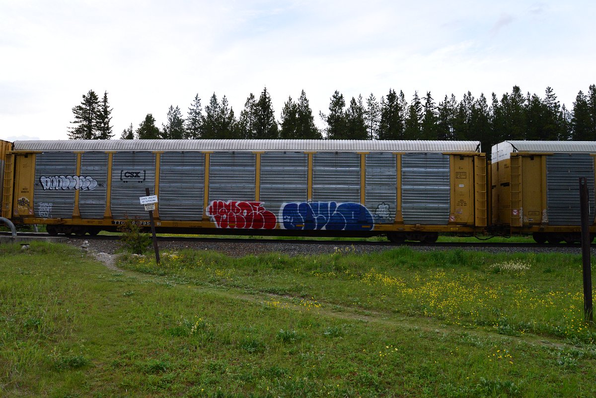 DSC_3123.JPG