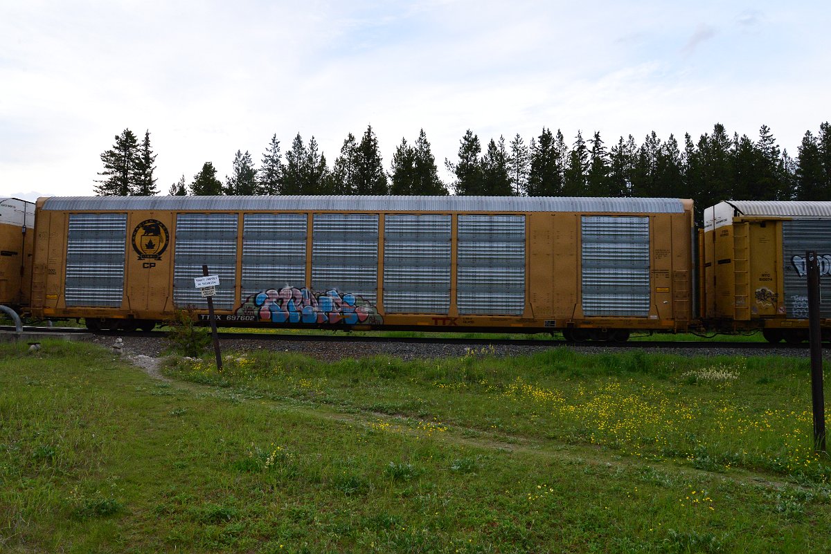 DSC_3124.JPG