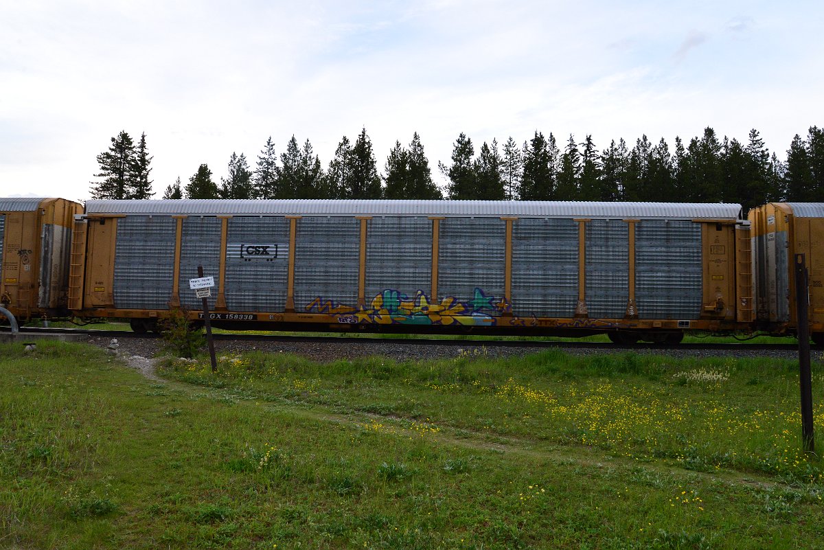 DSC_3125.JPG