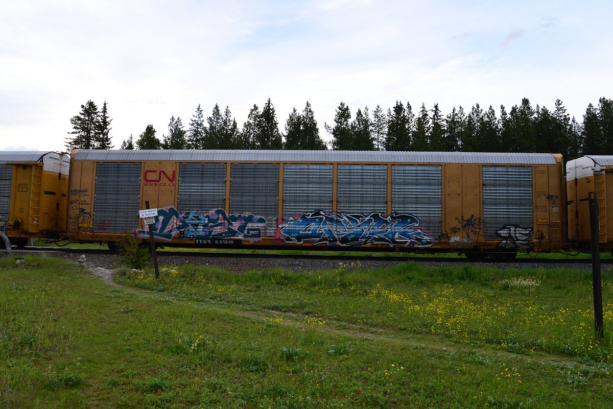 DSC_3126.JPG