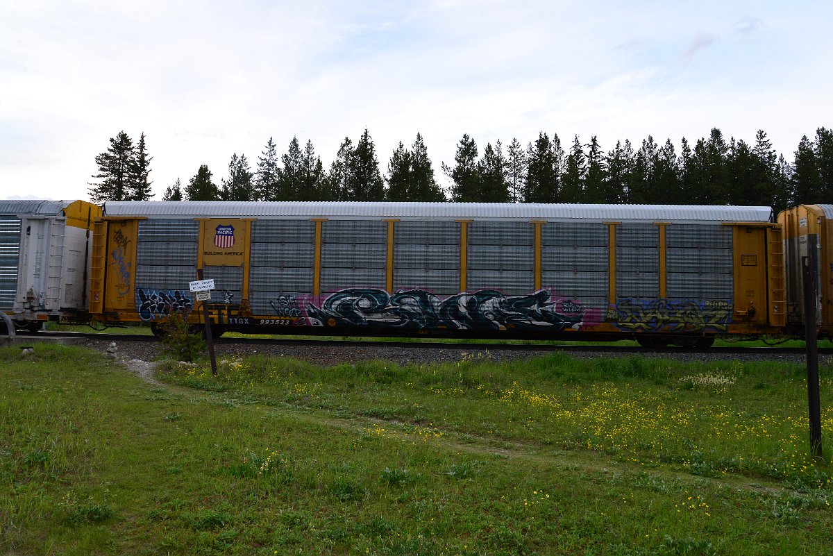 DSC_3127.JPG