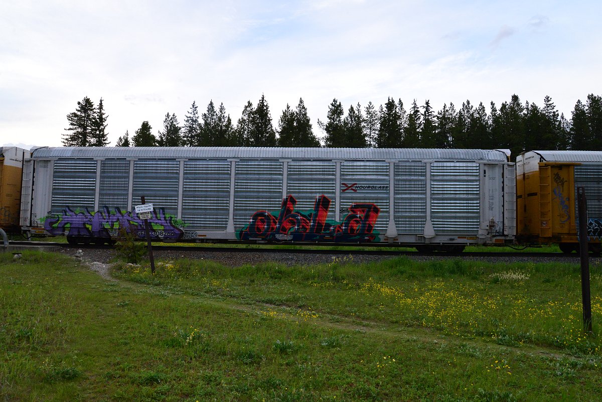 DSC_3128.JPG