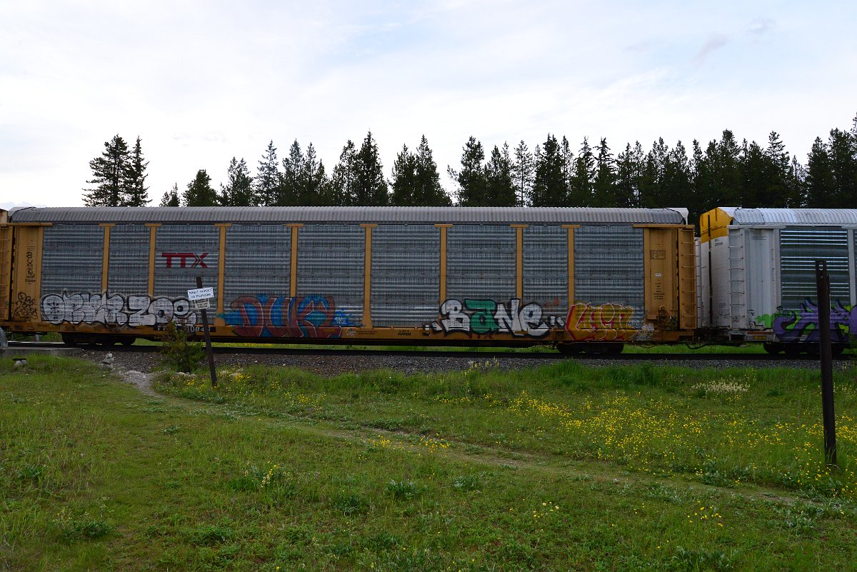 DSC_3129.JPG