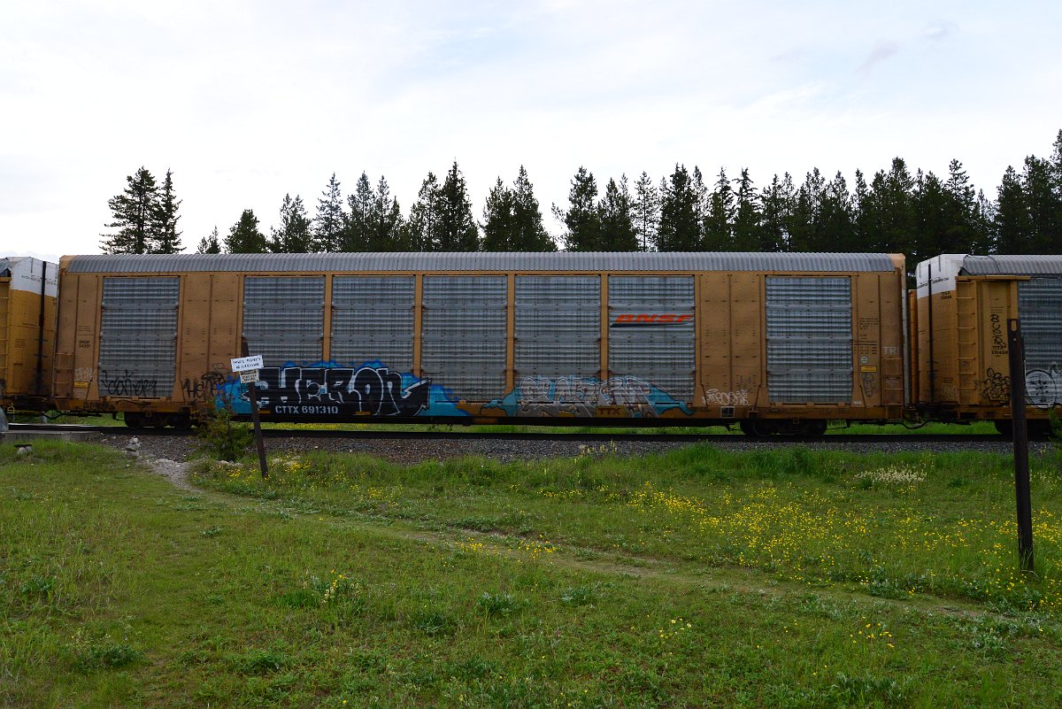 DSC_3130.JPG
