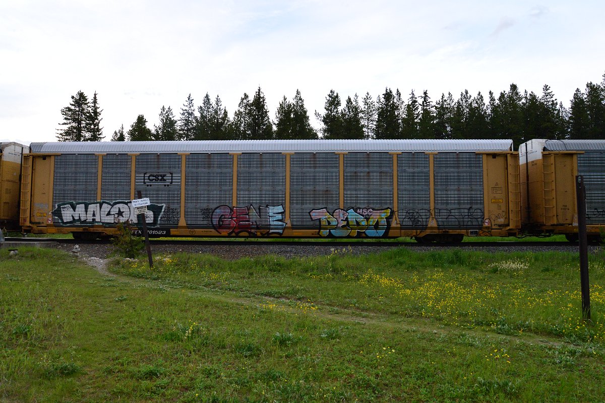 DSC_3132.JPG