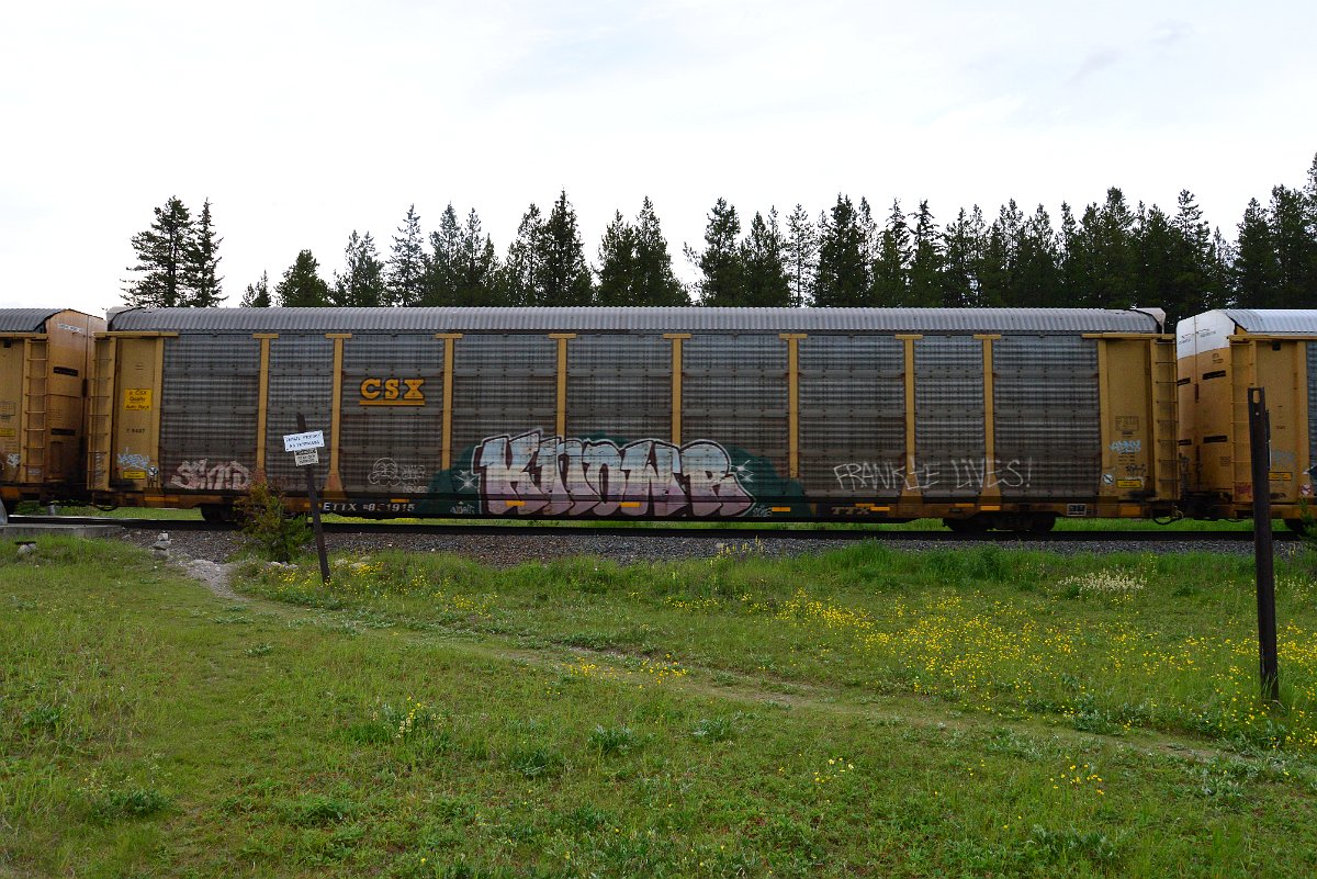 DSC_3133.JPG