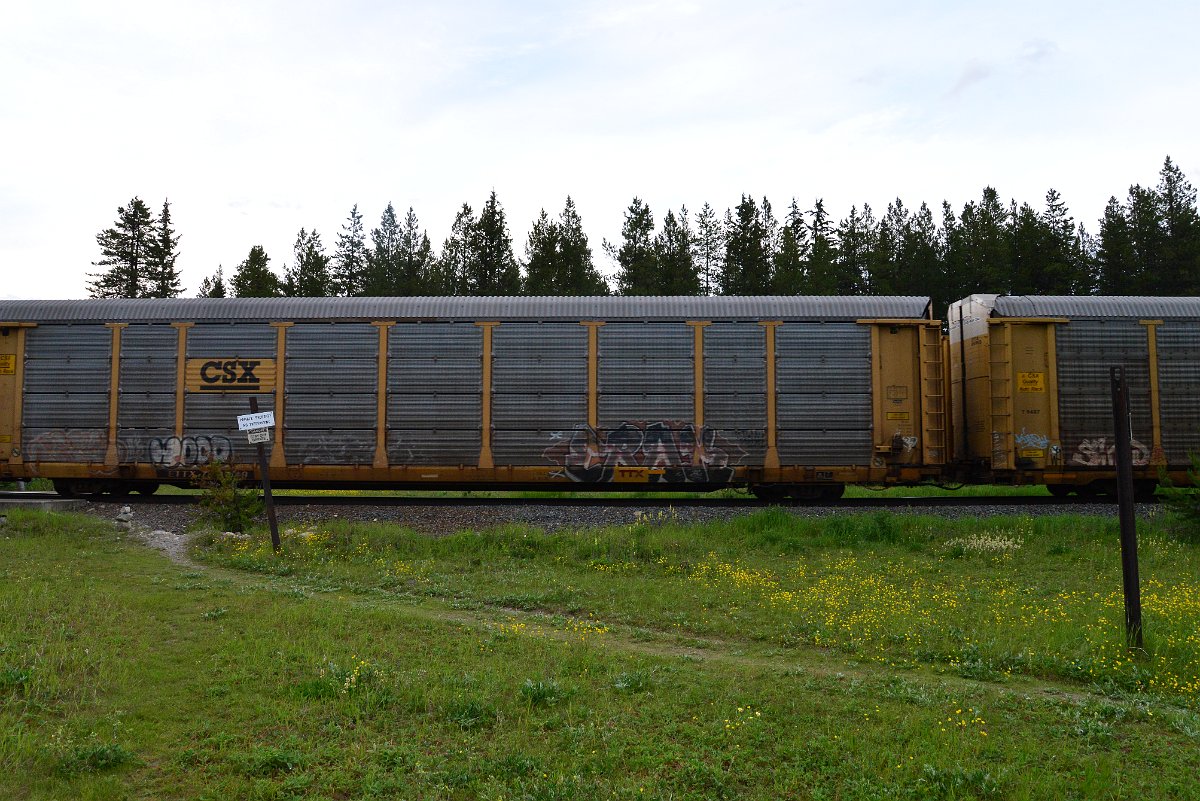 DSC_3134.JPG