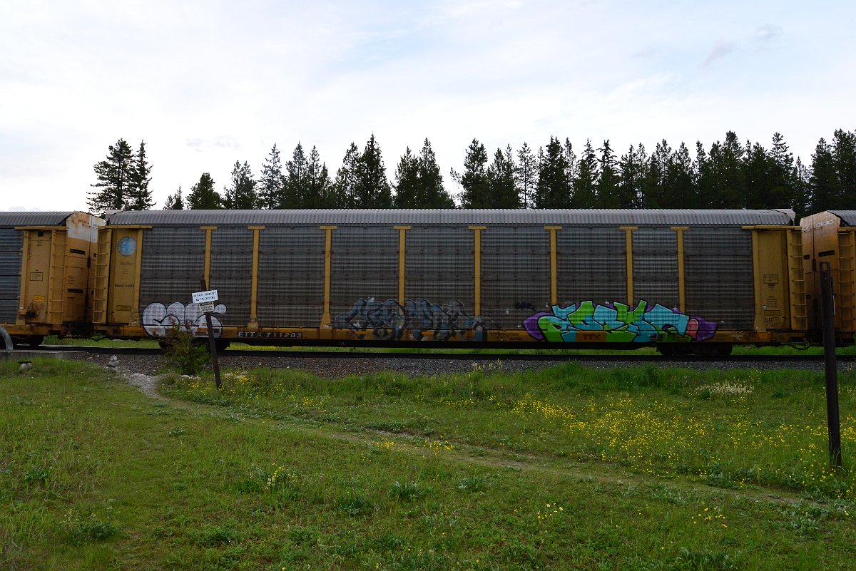 DSC_3135.JPG