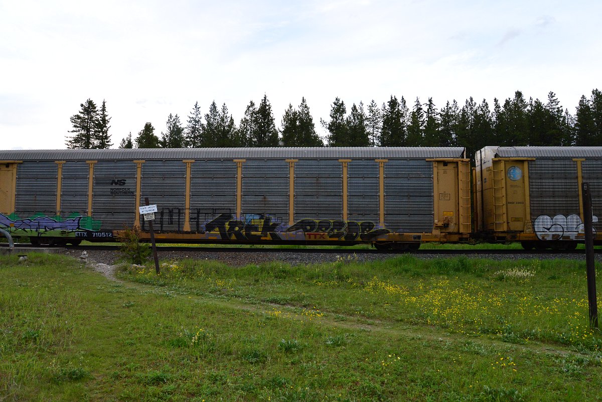 DSC_3136.JPG