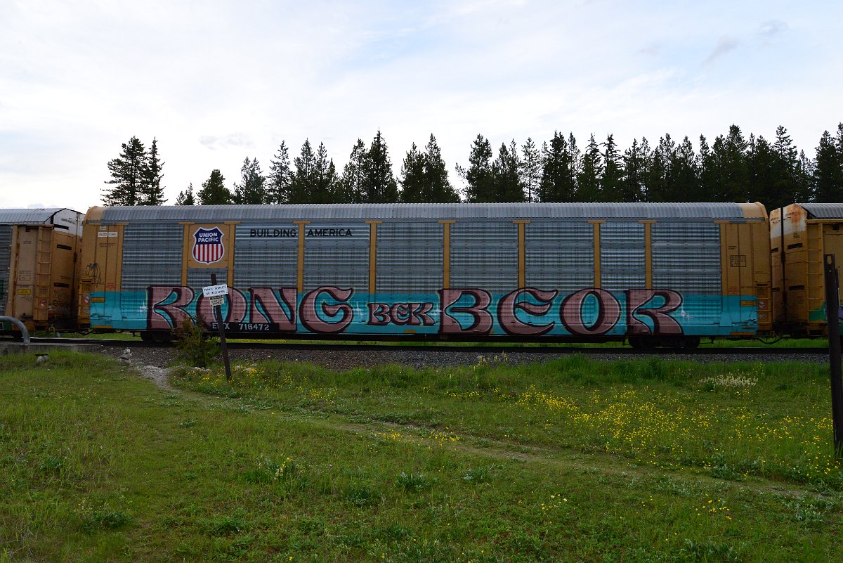DSC_3137.JPG