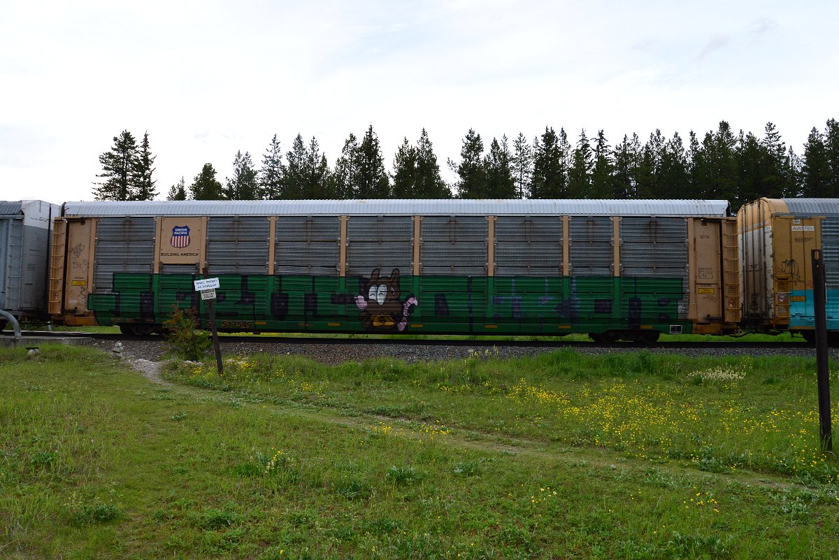DSC_3138.JPG