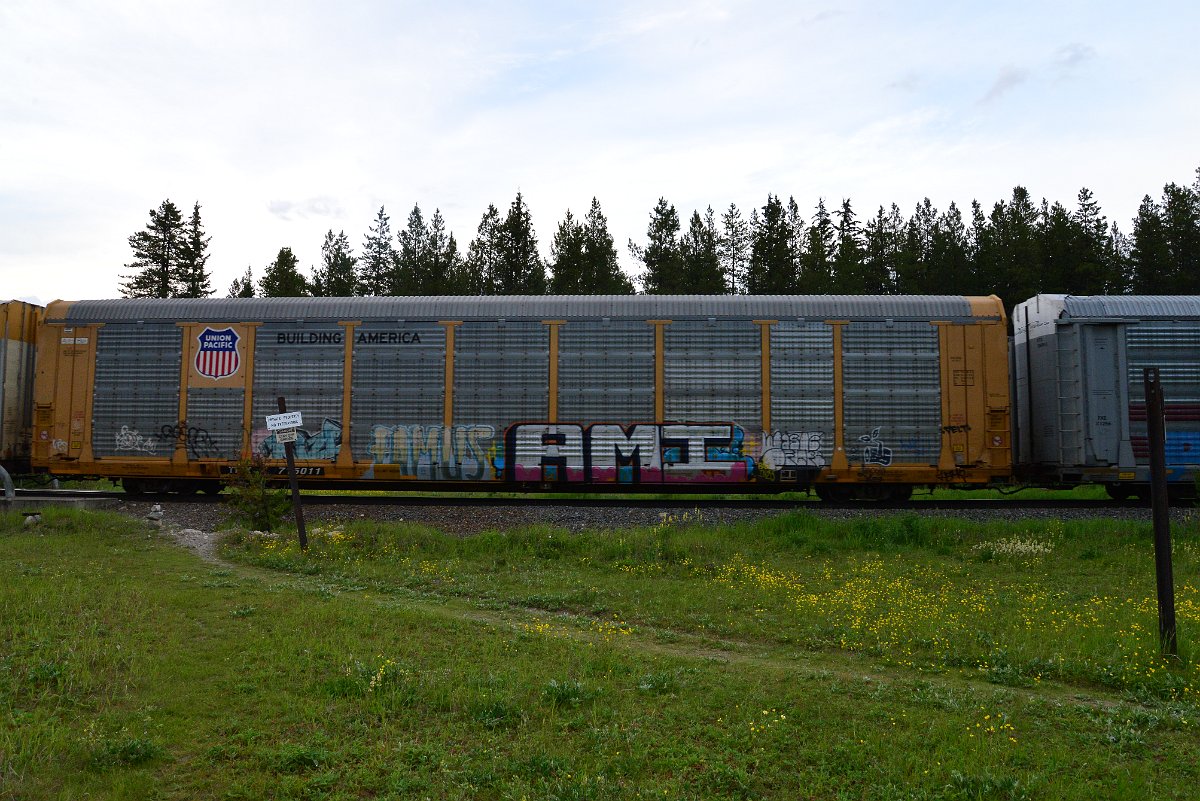 DSC_3140.JPG