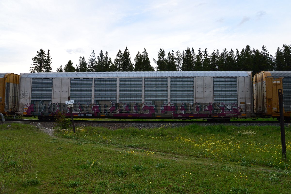 DSC_3141.JPG