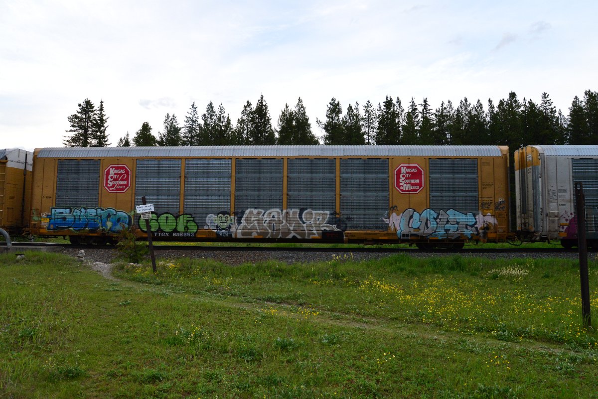 DSC_3142.JPG