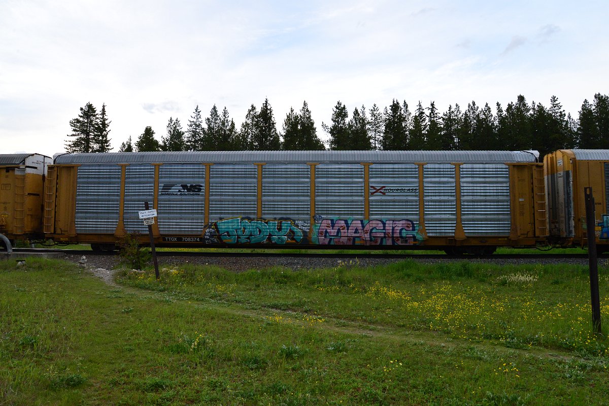 DSC_3143.JPG