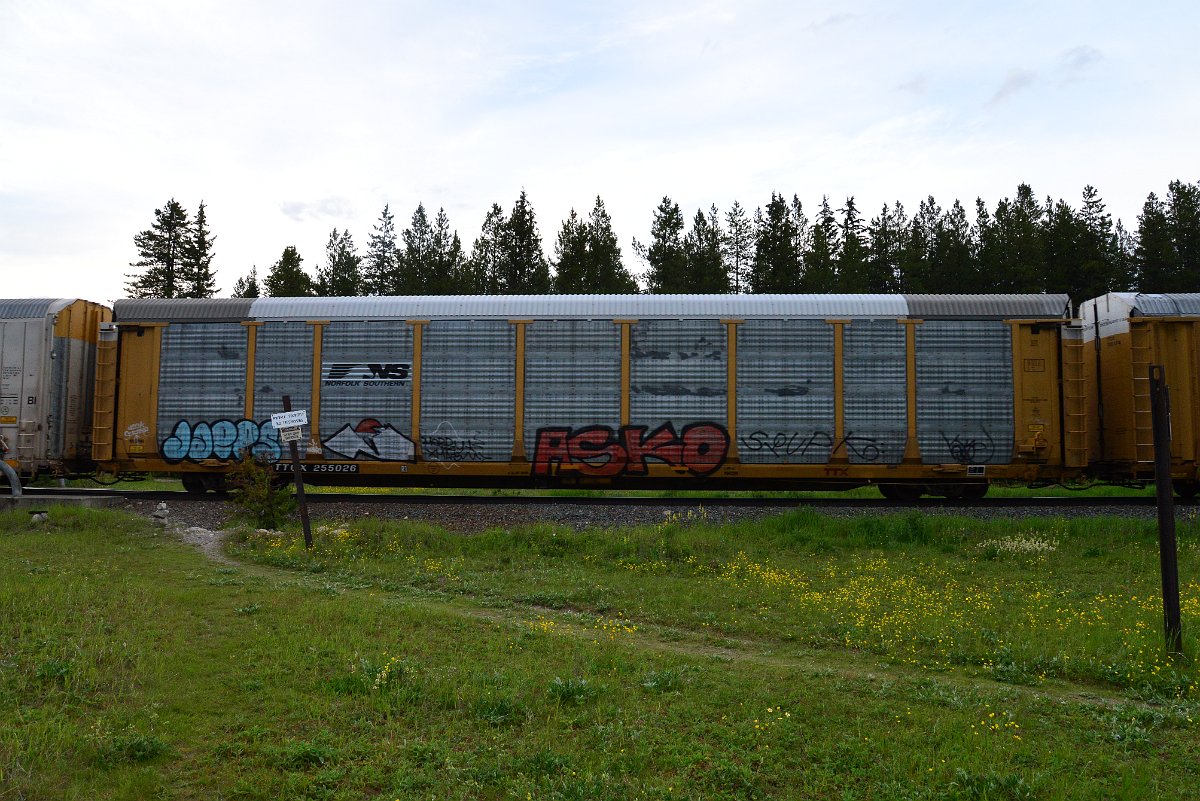 DSC_3144.JPG