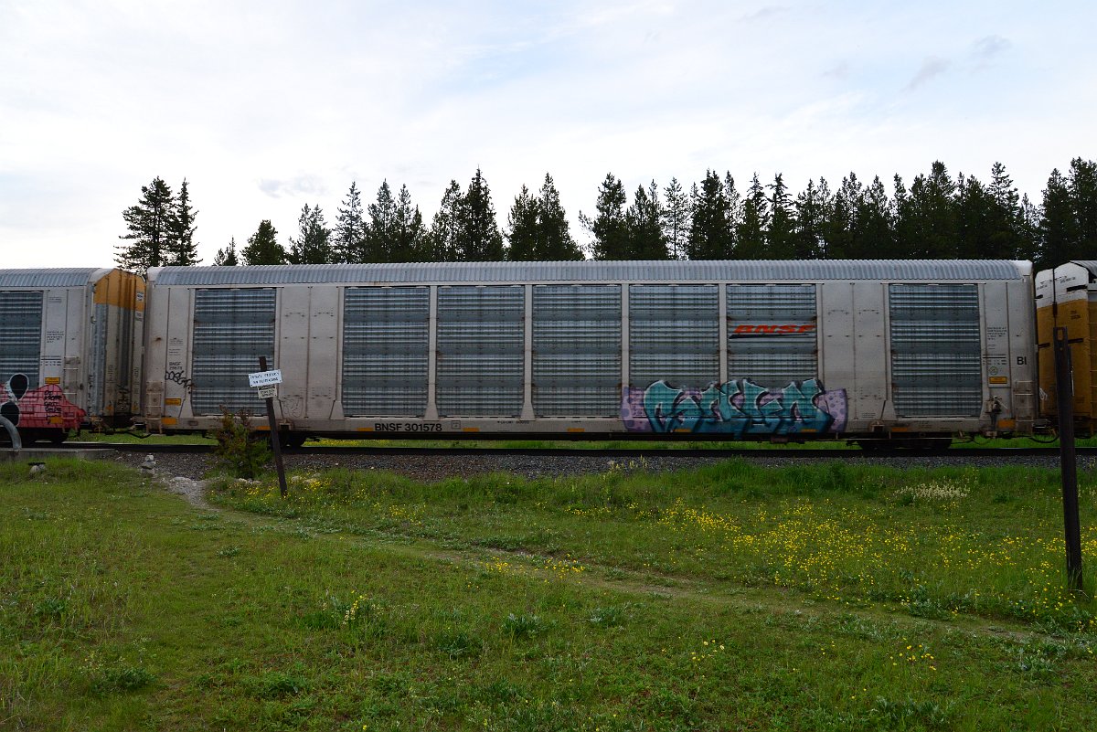 DSC_3145.JPG