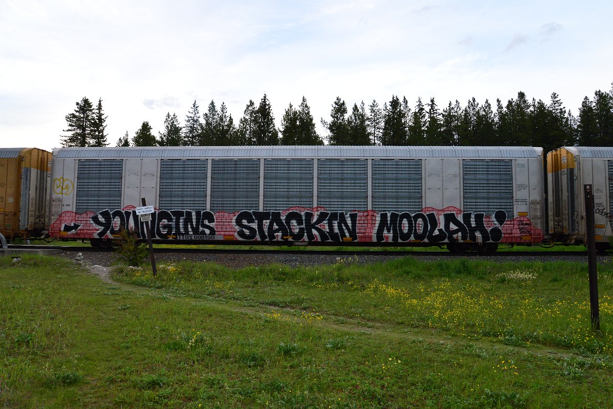 DSC_3146.JPG