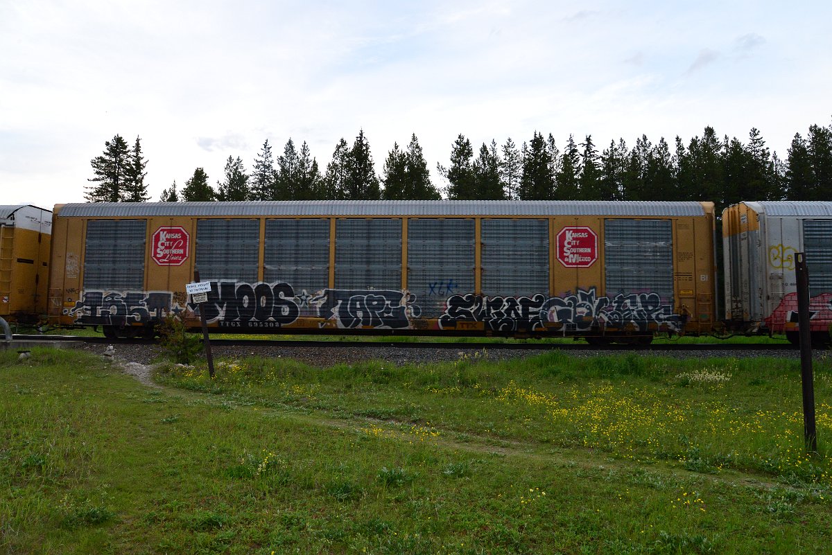 DSC_3147.JPG