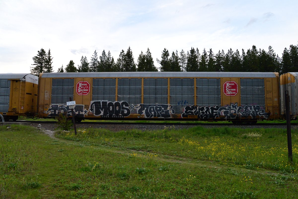 DSC_3148.JPG