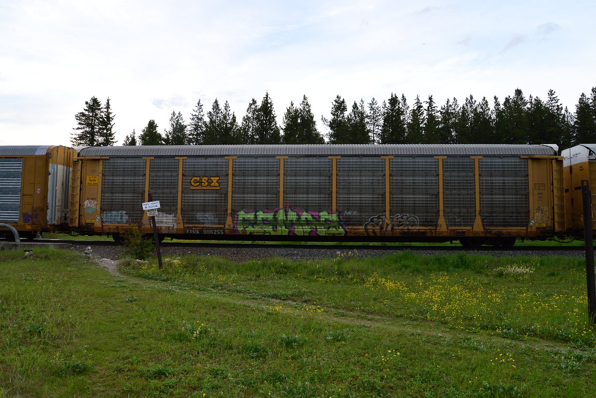 DSC_3150.JPG