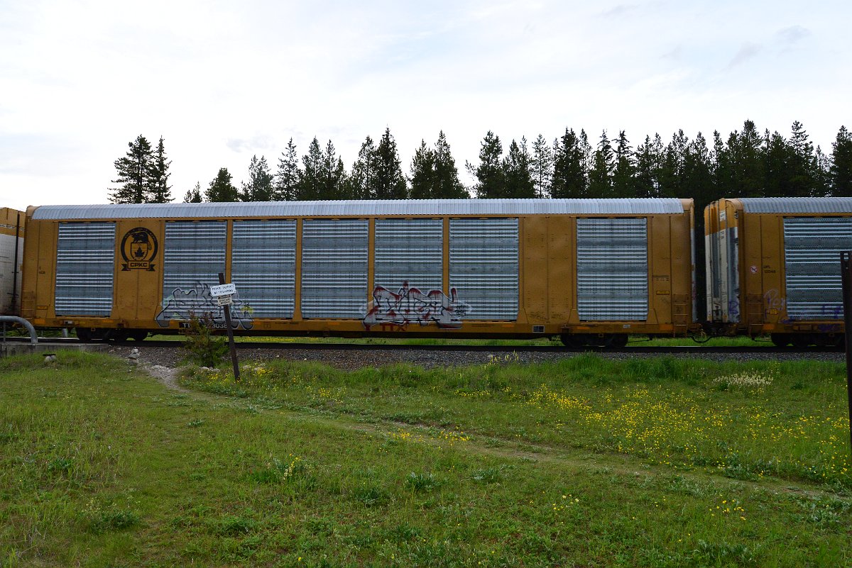 DSC_3152.JPG