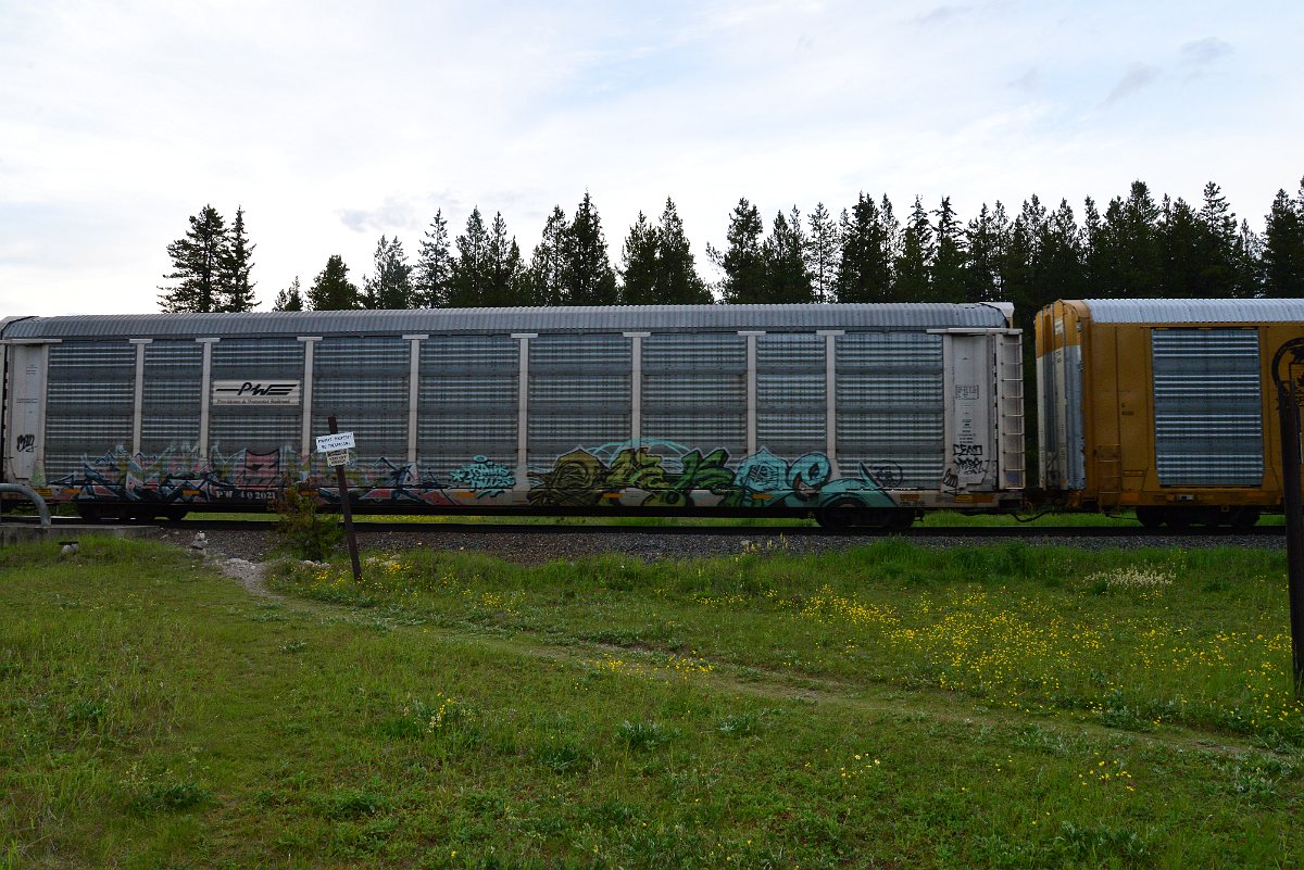 DSC_3153.JPG