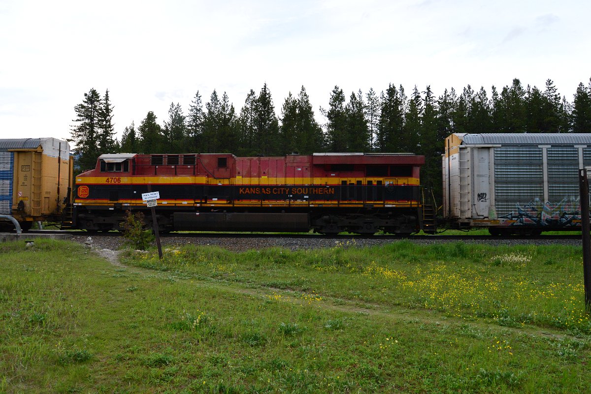 DSC_3154.JPG
