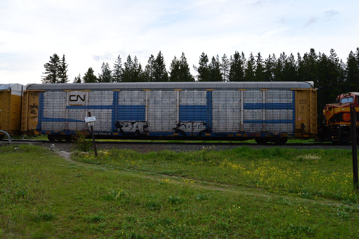 DSC_3155.JPG