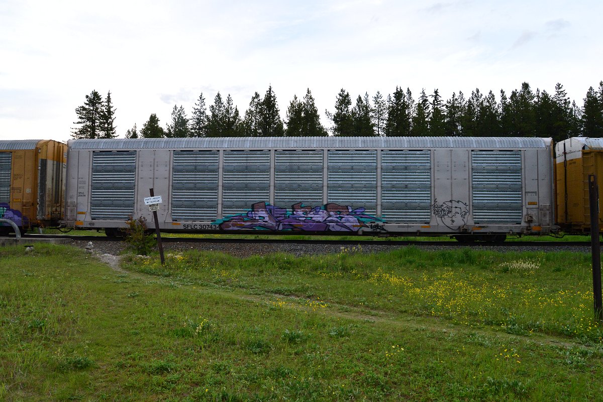 DSC_3157.JPG
