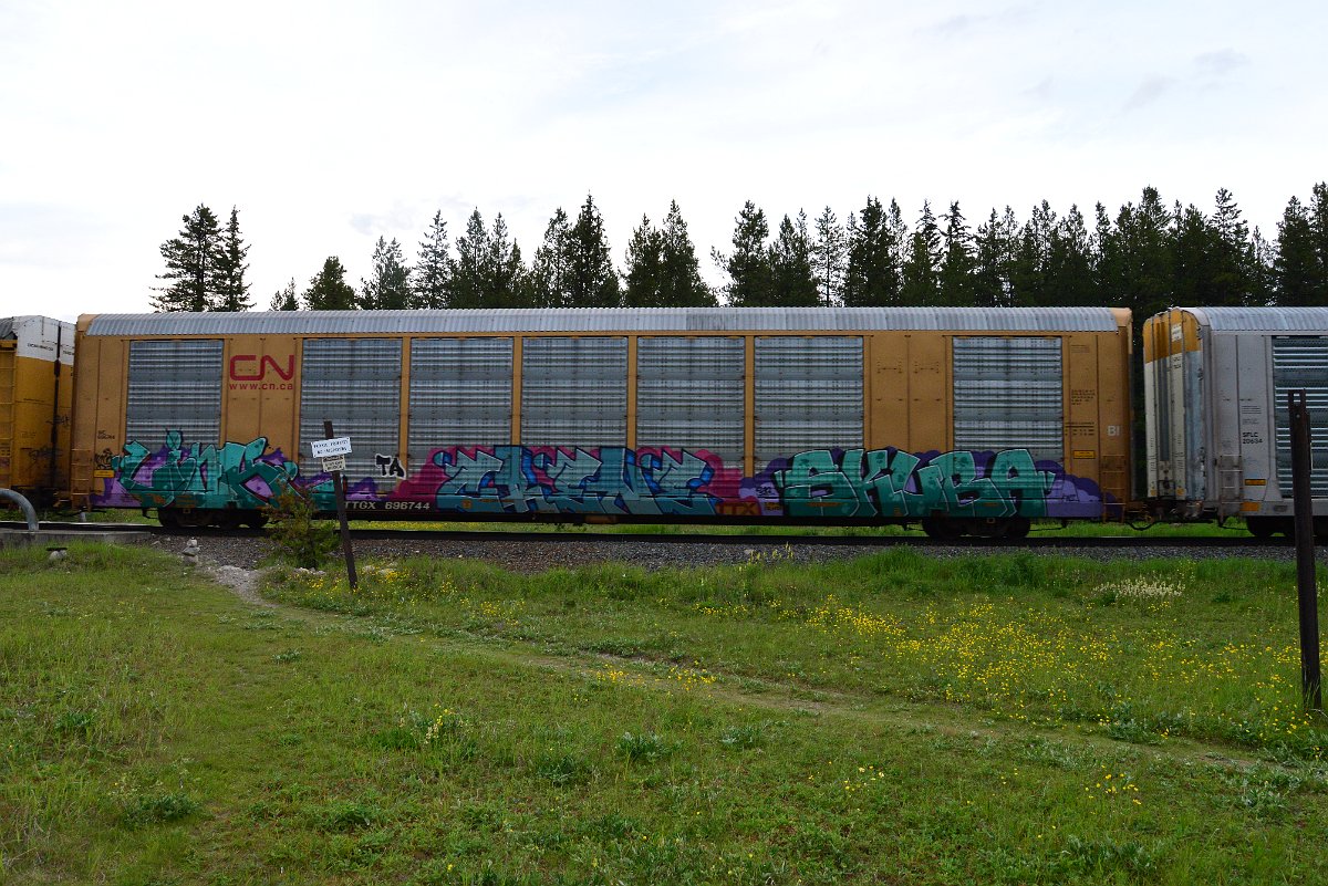 DSC_3158.JPG