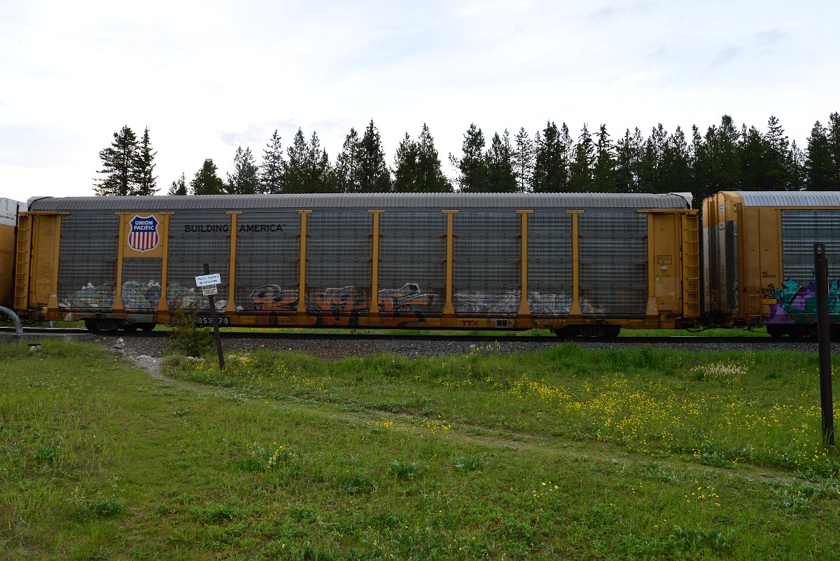 DSC_3159.JPG