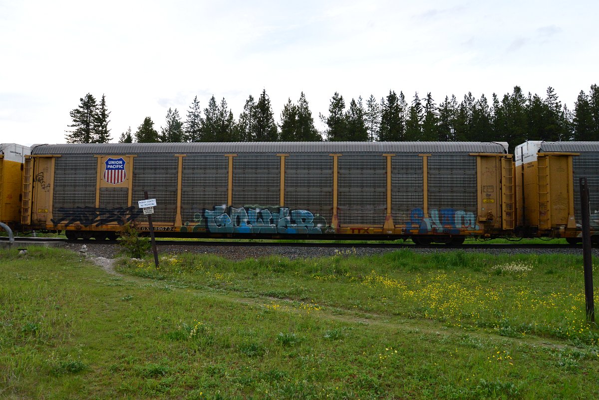 DSC_3160.JPG