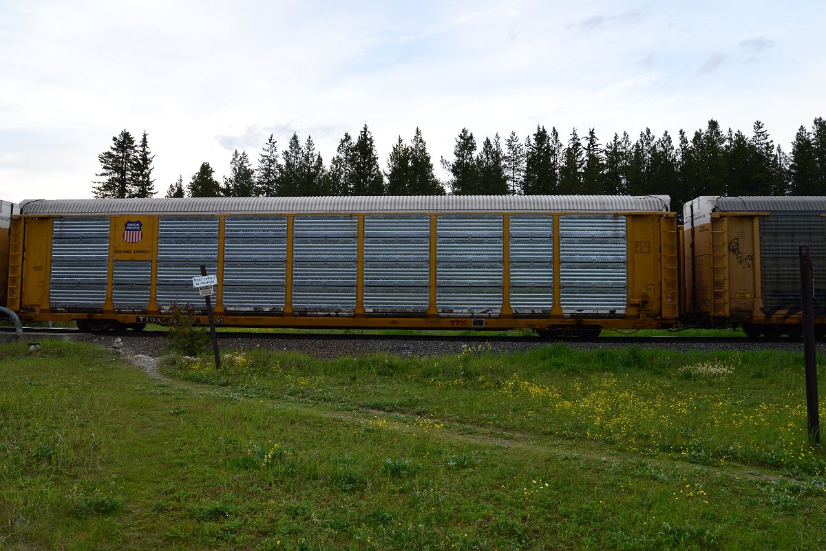 DSC_3161.JPG