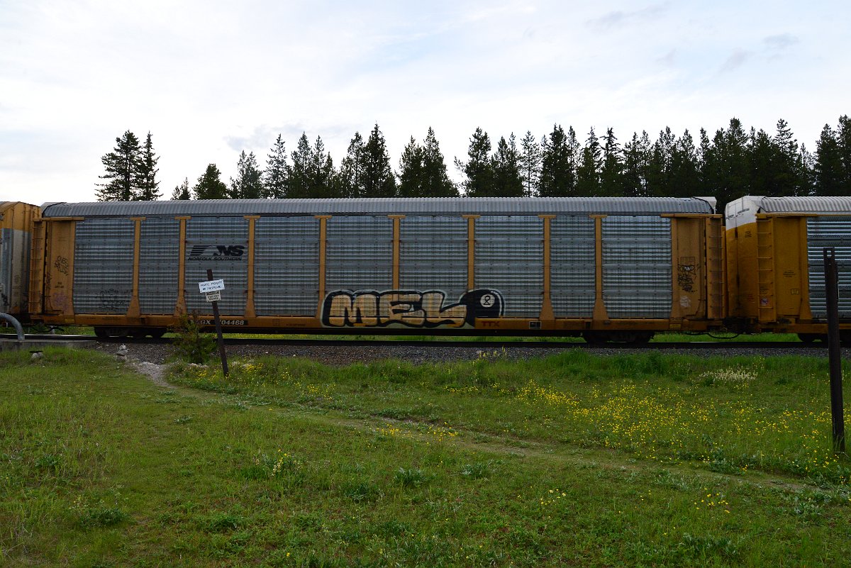 DSC_3162.JPG
