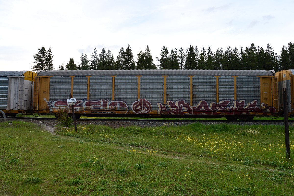 DSC_3164.JPG